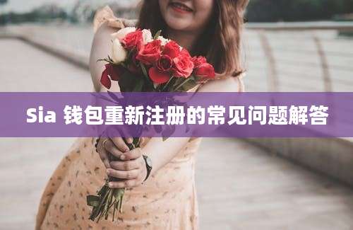 Sia 钱包重新注册的常见问题解答