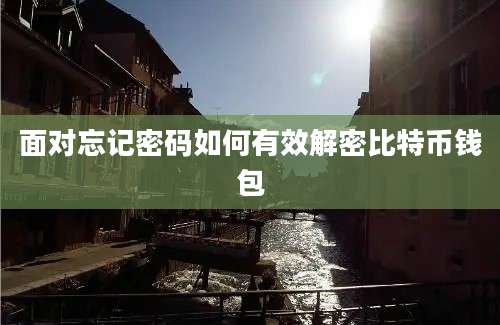 面对忘记密码如何有效解密比特币钱包