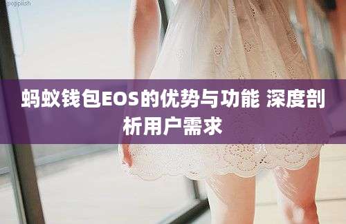 蚂蚁钱包EOS的优势与功能 深度剖析用户需求