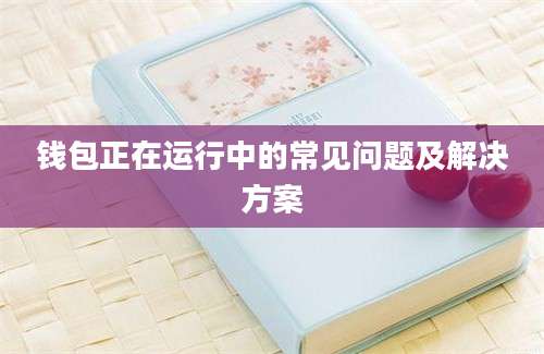 钱包正在运行中的常见问题及解决方案