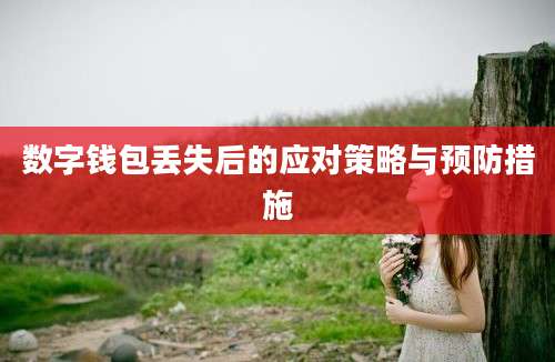 数字钱包丢失后的应对策略与预防措施