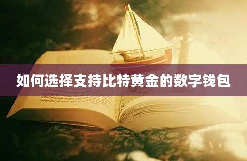 如何选择支持比特黄金的数字钱包