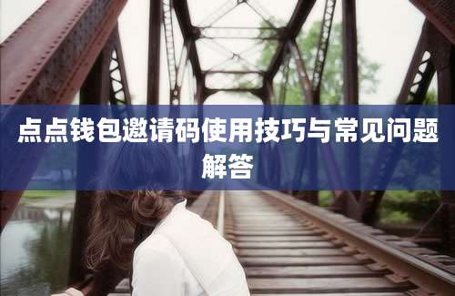 点点钱包邀请码使用技巧与常见问题解答
