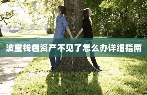 波宝钱包资产不见了怎么办详细指南