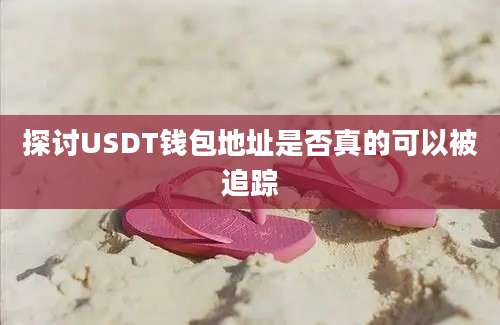 探讨USDT钱包地址是否真的可以被追踪