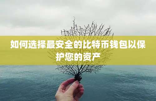 如何选择最安全的比特币钱包以保护您的资产