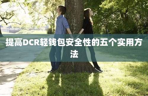 提高DCR轻钱包安全性的五个实用方法