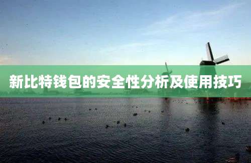 新比特钱包的安全性分析及使用技巧