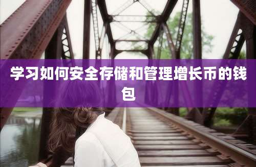 学习如何安全存储和管理增长币的钱包
