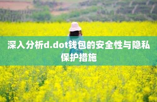 深入分析d.dot钱包的安全性与隐私保护措施