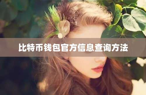 比特币钱包官方信息查询方法