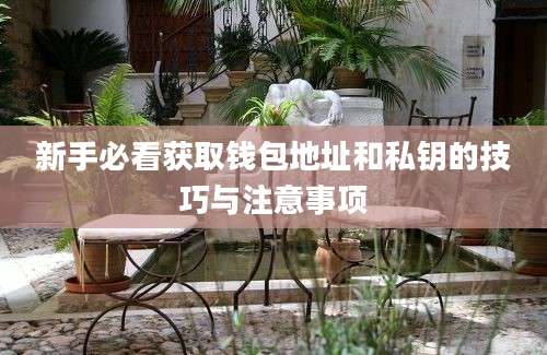 新手必看获取钱包地址和私钥的技巧与注意事项