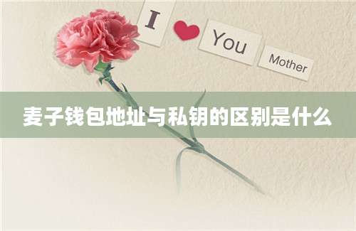 麦子钱包地址与私钥的区别是什么