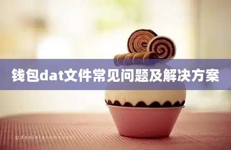 钱包dat文件常见问题及解决方案