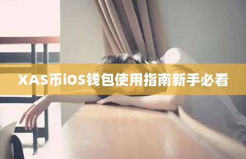XAS币iOS钱包使用指南新手必看