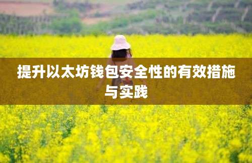 提升以太坊钱包安全性的有效措施与实践