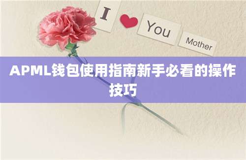 APML钱包使用指南新手必看的操作技巧
