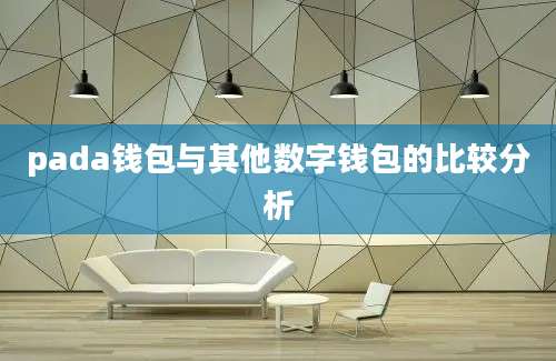 pada钱包与其他数字钱包的比较分析