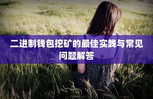 二进制钱包挖矿的最佳实践与常见问题解答