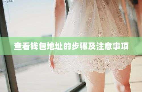 查看钱包地址的步骤及注意事项