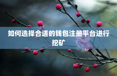 如何选择合适的钱包注册平台进行挖矿