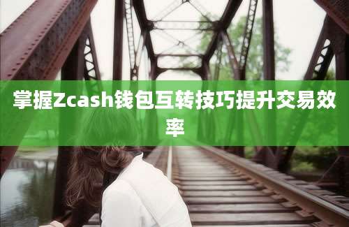 掌握Zcash钱包互转技巧提升交易效率
