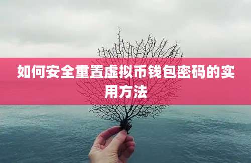 如何安全重置虚拟币钱包密码的实用方法