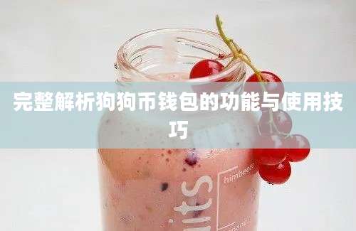 完整解析狗狗币钱包的功能与使用技巧