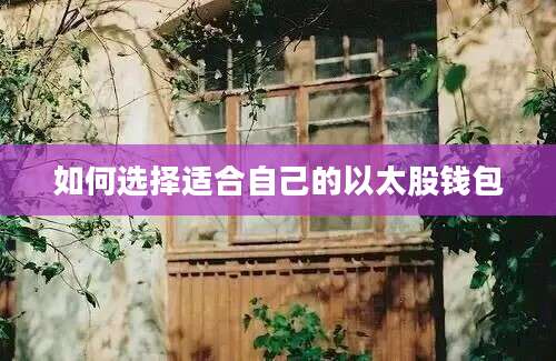 如何选择适合自己的以太股钱包