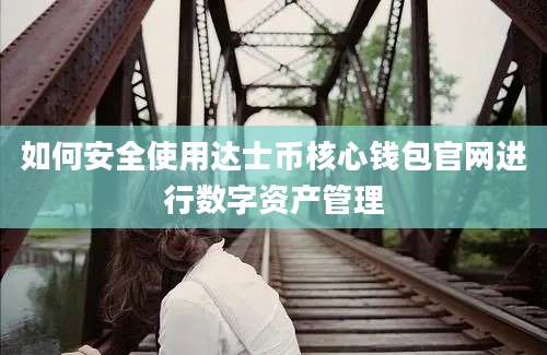如何安全使用达士币核心钱包官网进行数字资产管理