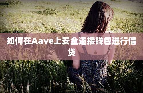 如何在Aave上安全连接钱包进行借贷