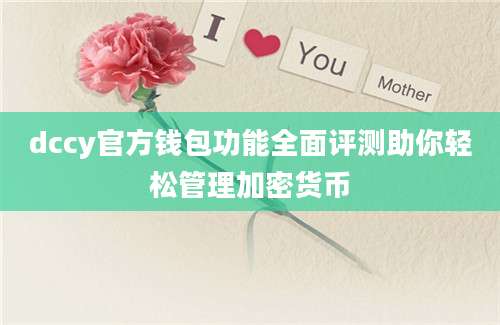 dccy官方钱包功能全面评测助你轻松管理加密货币