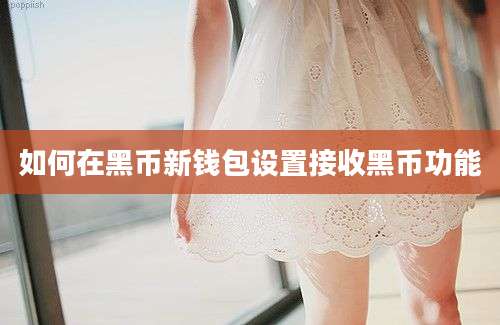 如何在黑币新钱包设置接收黑币功能