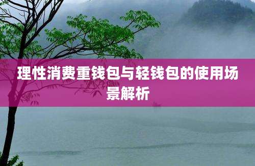理性消费重钱包与轻钱包的使用场景解析