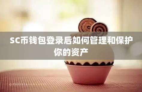SC币钱包登录后如何管理和保护你的资产