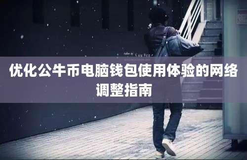 优化公牛币电脑钱包使用体验的网络调整指南