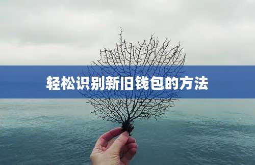 轻松识别新旧钱包的方法