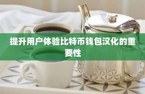 提升用户体验比特币钱包汉化的重要性