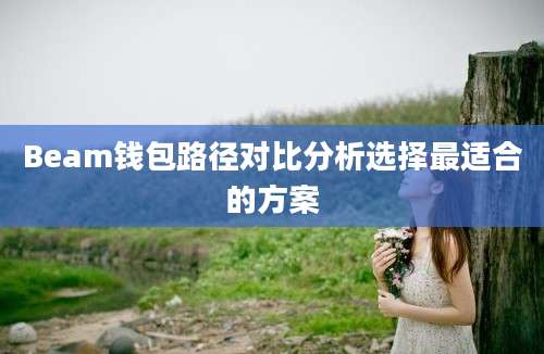 Beam钱包路径对比分析选择最适合的方案