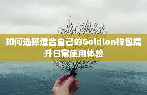 如何选择适合自己的Goldlon钱包提升日常使用体验