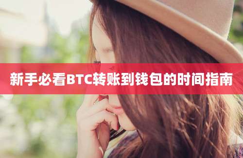 新手必看BTC转账到钱包的时间指南
