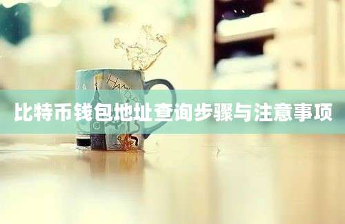 比特币钱包地址查询步骤与注意事项