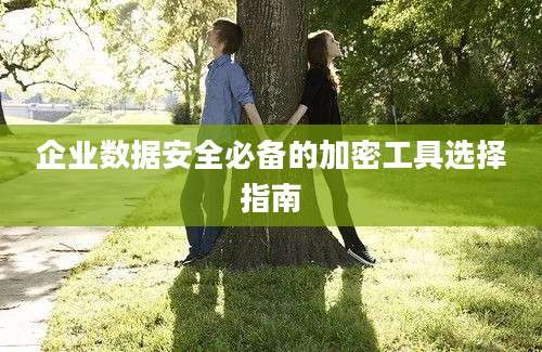 企业数据安全必备的加密工具选择指南