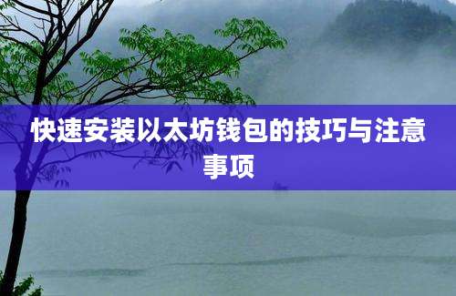 快速安装以太坊钱包的技巧与注意事项