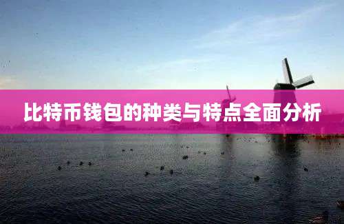 比特币钱包的种类与特点全面分析