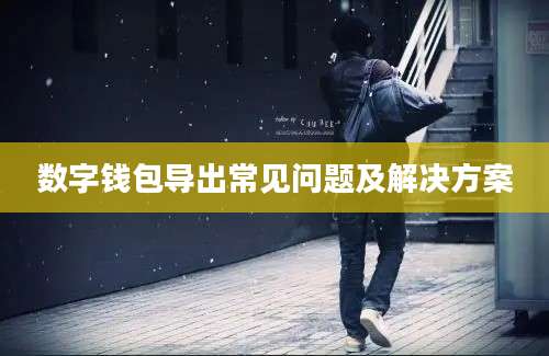 数字钱包导出常见问题及解决方案