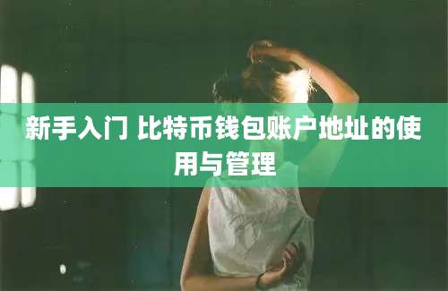新手入门 比特币钱包账户地址的使用与管理