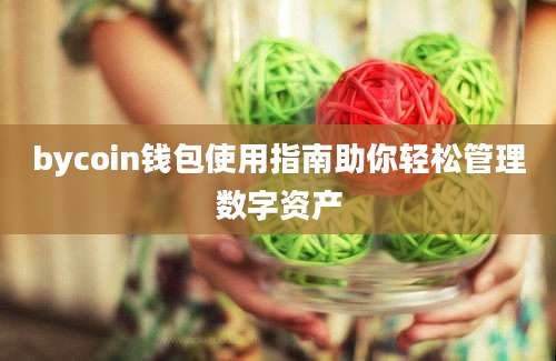 bycoin钱包使用指南助你轻松管理数字资产