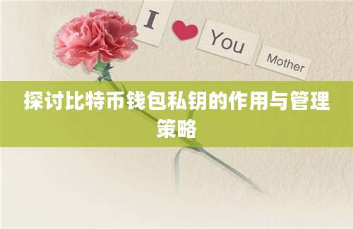 探讨比特币钱包私钥的作用与管理策略