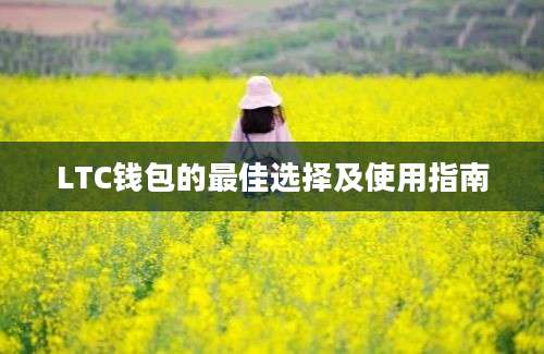 LTC钱包的最佳选择及使用指南